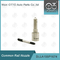 DLLA155P1674 Bosch Common Rail Nozzle For Injector 0445110291/447
