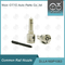 DLLA160P1063 Bosch Common Rail Nozzle For Injector 0445110122/080/131