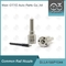 DLLA155P1044 Denso Common Rail Nozzle cho đầu phun 095000-652 # / 951 #