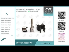 7135-575 Bộ sửa chữa đầu phun Delphi cho 28231462 Vòi phun VW 1.2L L363PRD