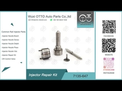 7135-647 Bộ sửa chữa đầu phun Delphi cho 28232248 với vòi phun L120PBD