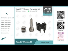 7135-651 Bộ sửa chữa đầu phun Delphi cho R02201Z có ​​vòi phun L121PBD