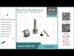 7135-654 Bộ sửa chữa đầu phun Delphi R00501Z có ​​vòi phun L456PRD