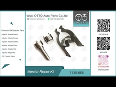 7135-656 Bộ sửa chữa đầu phun Delphi cho R00504Z có vòi phun L135PBD