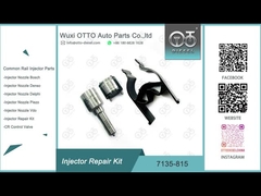 7135-815 Bộ sửa chữa máy tiêm Delphi
