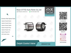 28343134 Delphi Common Rail Control Valve cho máy phun R00001D/28307309 Vv