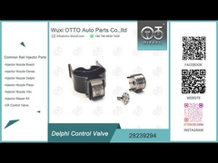 28239294 Van điều khiển đầu phun Delphi cho đầu phun Delphi EJBR02401Z/02901D, v.v.