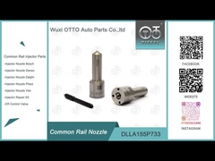 DLLA155P733 Densos Common Rail Nozzle cho máy phun 095000-714# / 093400-9890