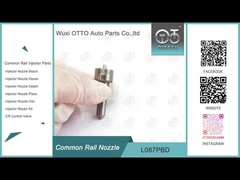 L087PBD Delphi Common Rail Nozzle cho máy phun EJBR01401Z / EJBR01701Z