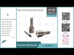 L379PRH Delphi Common Rail Nozzle cho máy phun 28231014 GWM 2.0L