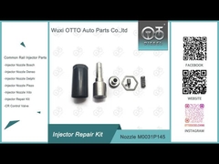 Siemens Injector Repair Kit Cho Injector CP1311537424 / 92333