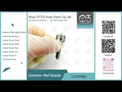 L137PBD Delphi Common Rail Nozzle cho máy phun EJBR02401Z / 02901D