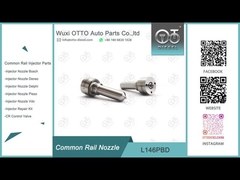 L146PBD Delphi Common Rail Nozzle cho máy tiêm R05201D R02701Z