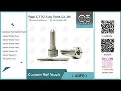 L163PBD Delphi Common Rail Nozzle cho máy tiêm EJBR03301D