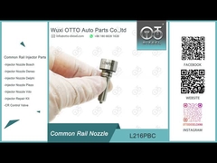L216PBC Delphi Common Rail Nozzle cho máy tiêm BEBE4D08001/24002/16001