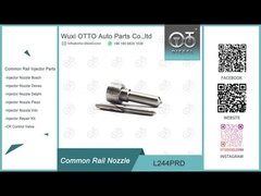 L244PRD Delphi Common Rail Nozzle cho máy tiêm R04501D