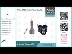 Bộ máy phun phun nước 7135 - 650 Bộ sửa chữa máy phun Delphi cho máy phun DELPHI R04701D