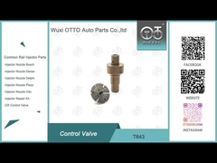 Van điều khiển Common Rail T643 Áp dụng 0445110819/818/939