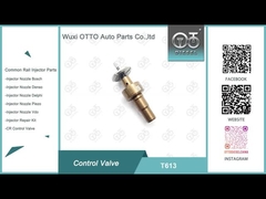 T613 Bosch Common Rail Control Valve áp dụng 0445110551