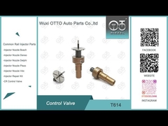 T614 Bosch Common Rail Control Valve cho máy phun 0445110522