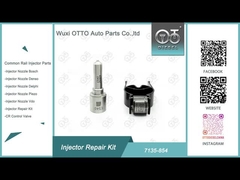 Bộ sửa chữa kim phun Delphi 7135-854 cho kim phun E540 và van 28602945