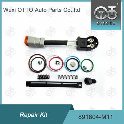 M11 Bộ sửa chữa đường sắt chung cho các bộ phận bơm EUI 3609925 4307547