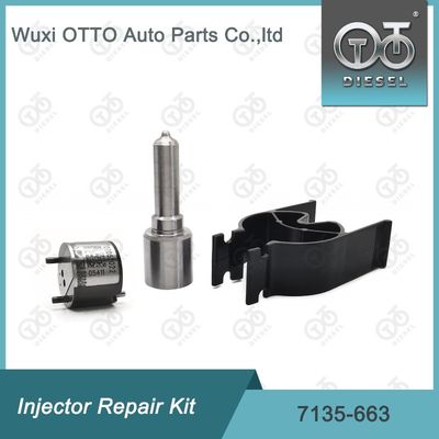 7135-663 Bộ sửa chữa máy tiêm Delphi Bộ máy phun phun phun phun CVA