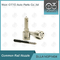 DLLA143P1404 Bosch Common Rail Nozzle For Injector 0445120043