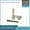 DSLA142P1474 Bosch Common Rail Nozzle For Injector 0 445110240