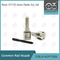 DSLA143P1058 Bosch Common Rail Nozzle For Injector 0 445120018/113