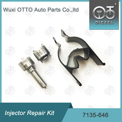 Bộ máy phun phun 7135-646 Bộ sửa chữa máy phun Delphi cho máy phun 28232251 / R03101D / R05102D