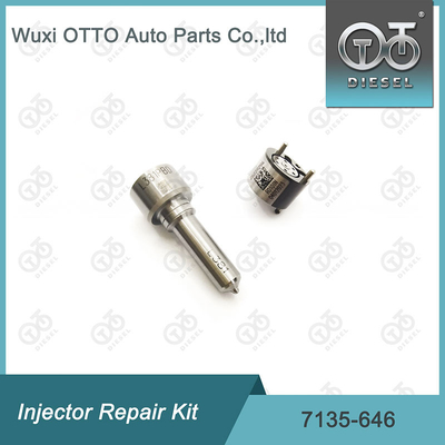 Bộ máy phun phun 7135-646 Bộ sửa chữa máy phun Delphi cho máy phun 28232251 / R03101D / R05102D