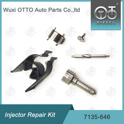Bộ máy phun phun 7135-646 Bộ sửa chữa máy phun Delphi cho máy phun 28232251 / R03101D / R05102D
