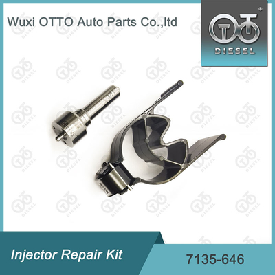 Bộ máy phun phun 7135-646 Bộ sửa chữa máy phun Delphi cho máy phun 28232251 / R03101D / R05102D