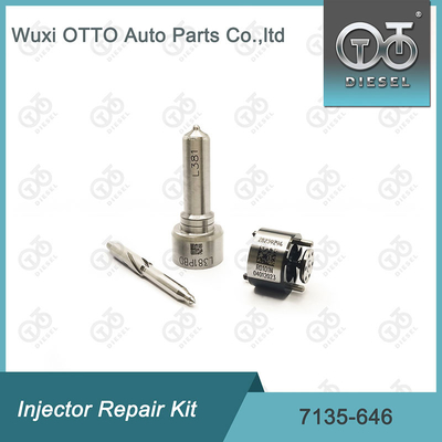 Bộ máy phun phun 7135-646 Bộ sửa chữa máy phun Delphi cho máy phun 28232251 / R03101D / R05102D