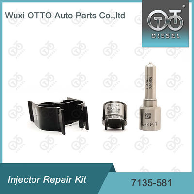 Bộ sửa chữa kim phun  7135-581 cho R00101D PSA FORD DW10C