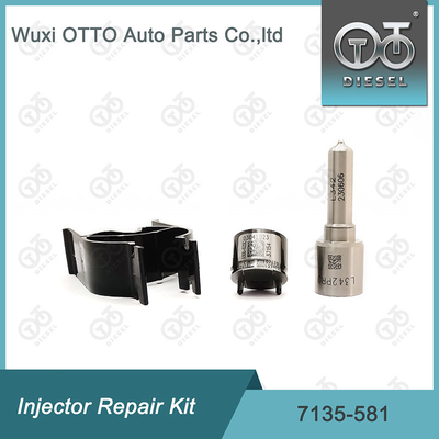 Bộ sửa chữa máy phun Delphi Nozzle-CVA Kit 7135-581 cho R00101D PSA / FORD DW10C Nozzle-Valve Kit