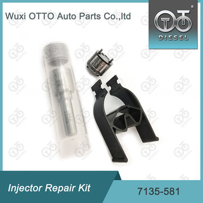 Bộ sửa chữa kim phun  7135-581 cho R00101D PSA FORD DW10C