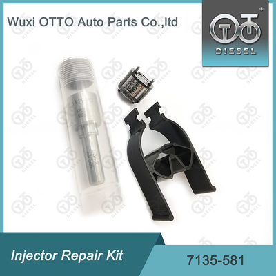 Bộ sửa chữa máy phun Delphi Nozzle-CVA Kit 7135-581 cho R00101D PSA / FORD DW10C Nozzle-Valve Kit