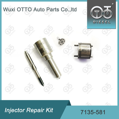 Bộ sửa chữa máy phun Delphi Nozzle-CVA Kit 7135-581 cho R00101D PSA / FORD DW10C Nozzle-Valve Kit