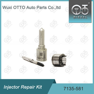 Bộ sửa chữa kim phun  7135-581 cho R00101D PSA FORD DW10C