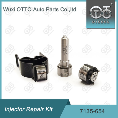 Bộ máy phun phun nước 7135-654 Delphi Injector Repair Kit R00501Z với vòi phun nước L456PRD