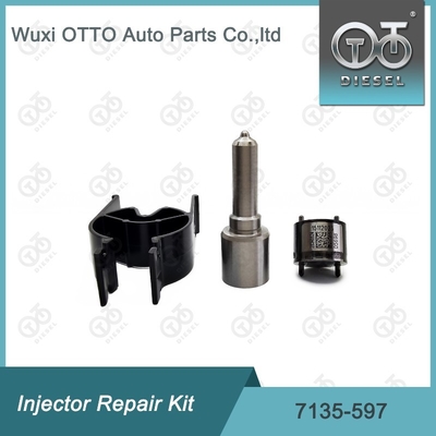 7135-597 Bộ sửa chữa máy tiêm Delphi Bộ máy phun-CVA Bộ máy phun- van