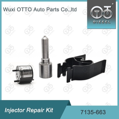 7135-663 Bộ sửa chữa máy tiêm Delphi Bộ máy phun phun phun phun CVA