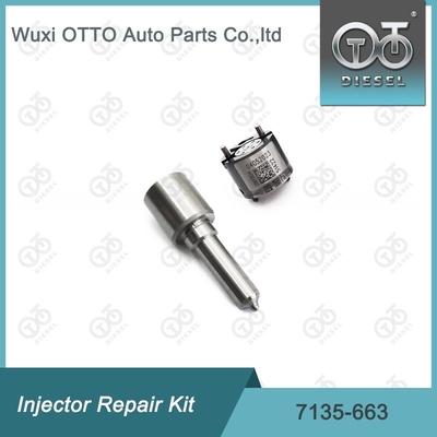 7135-663 Bộ sửa chữa máy tiêm Delphi Bộ máy phun phun phun phun CVA