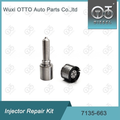 7135-663 Bộ sửa chữa máy tiêm Delphi Bộ máy phun phun phun phun CVA