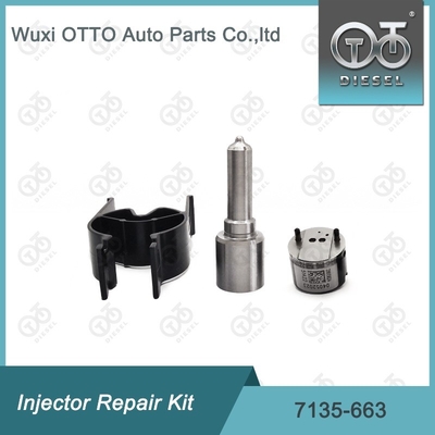 7135-663 Bộ sửa chữa máy tiêm Delphi Bộ máy phun phun phun phun CVA