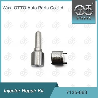 7135-663 Bộ sửa chữa máy tiêm Delphi Bộ máy phun phun phun phun CVA
