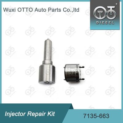 7135-663 Bộ sửa chữa máy tiêm  Bộ máy phun phun phun phun CVA