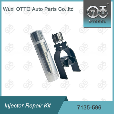 7135-596 Bộ sửa chữa máy tiêm Delphi Bộ phun phun phun phun phun CVA